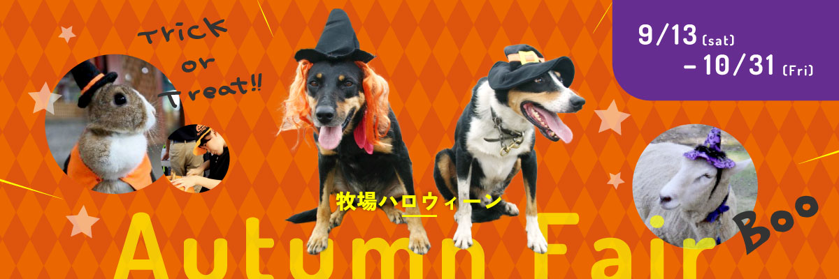 オータムフェア